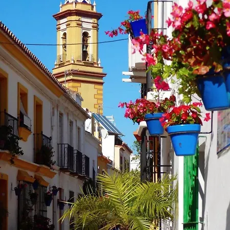 Corazon De * 에스테포나